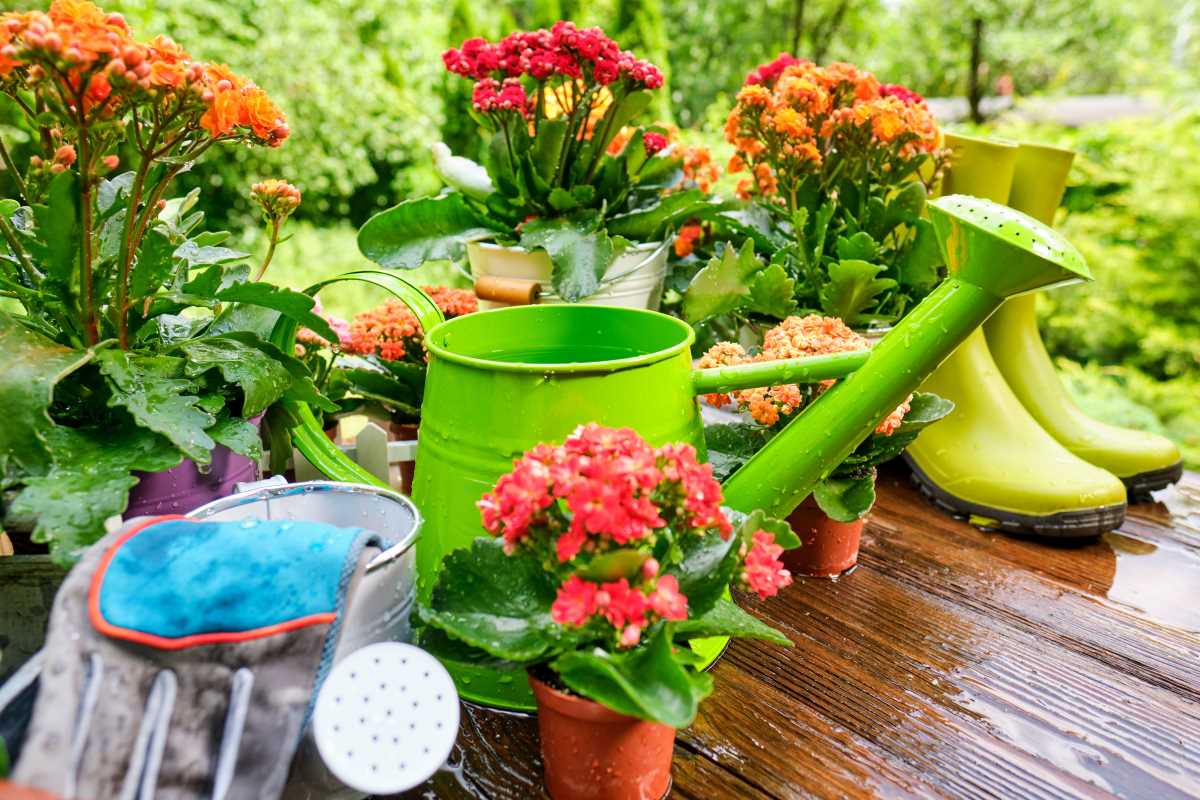The Benefits of Gardening for Mental Health